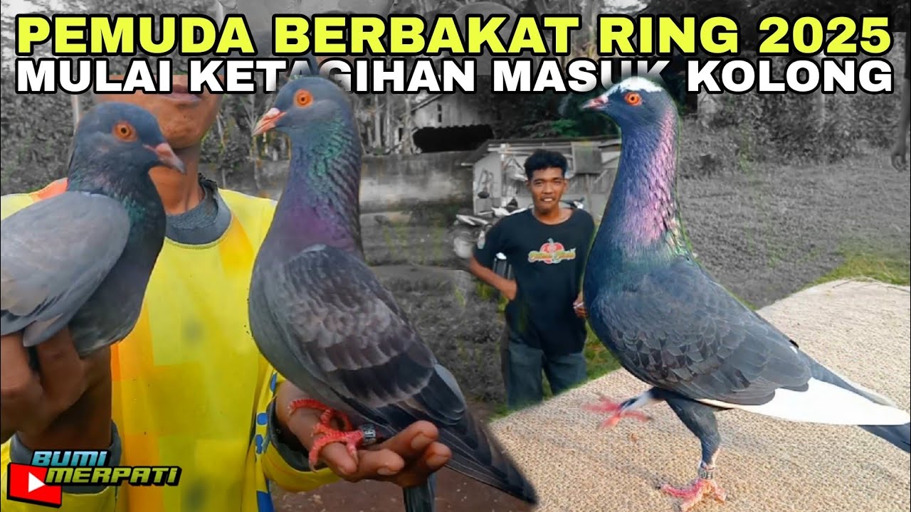 MANTAP PERDANA MASUK KOLONG LANGSUNG BIKIN NGILER BOS !!! 