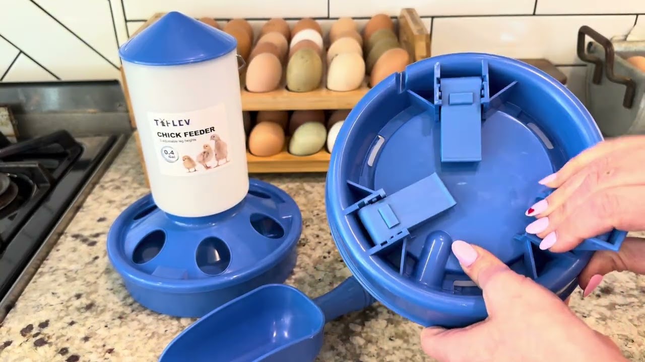 Why this set is best for your baby chicks! #ad #amazoninfluencer