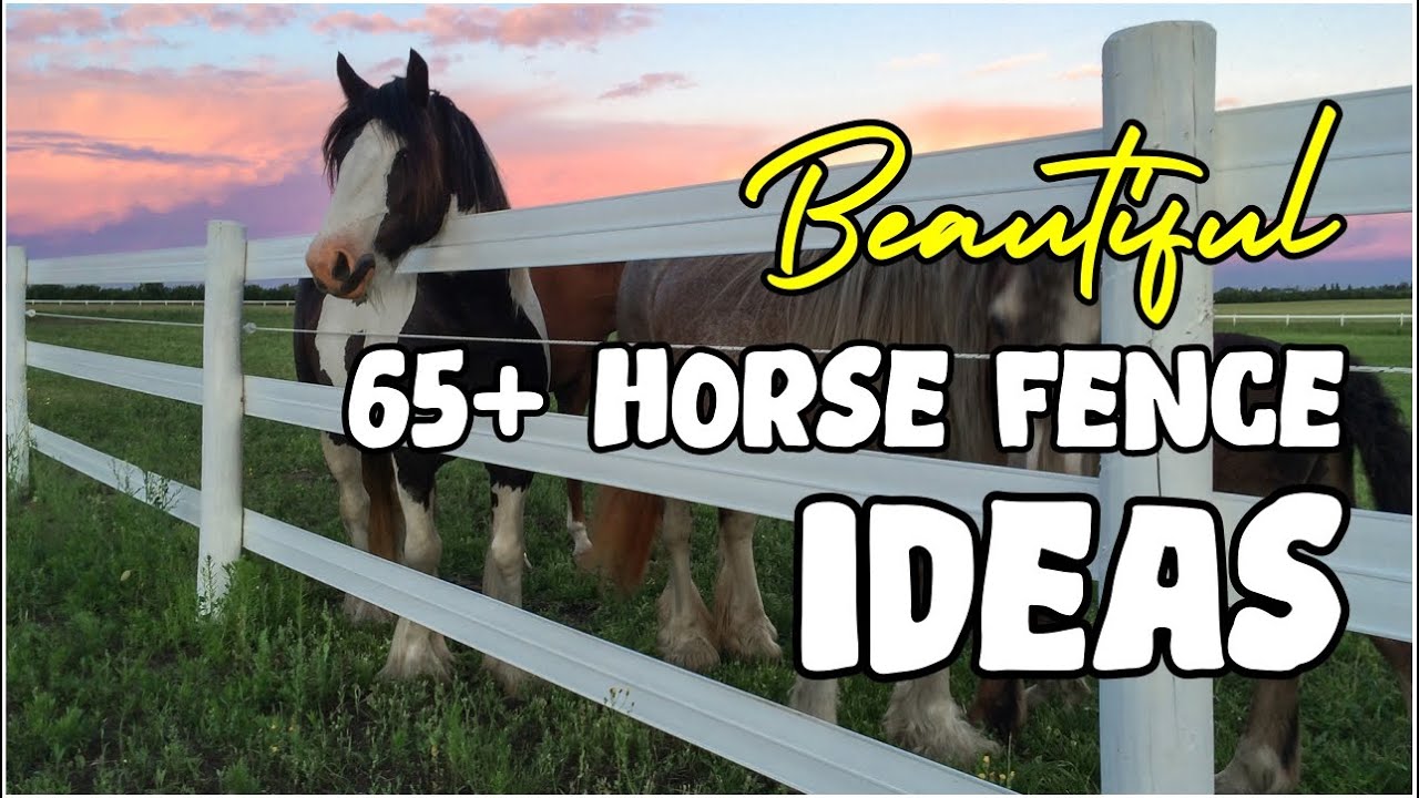 BEAUTIFUL! 65+ Horse Fence Ideas