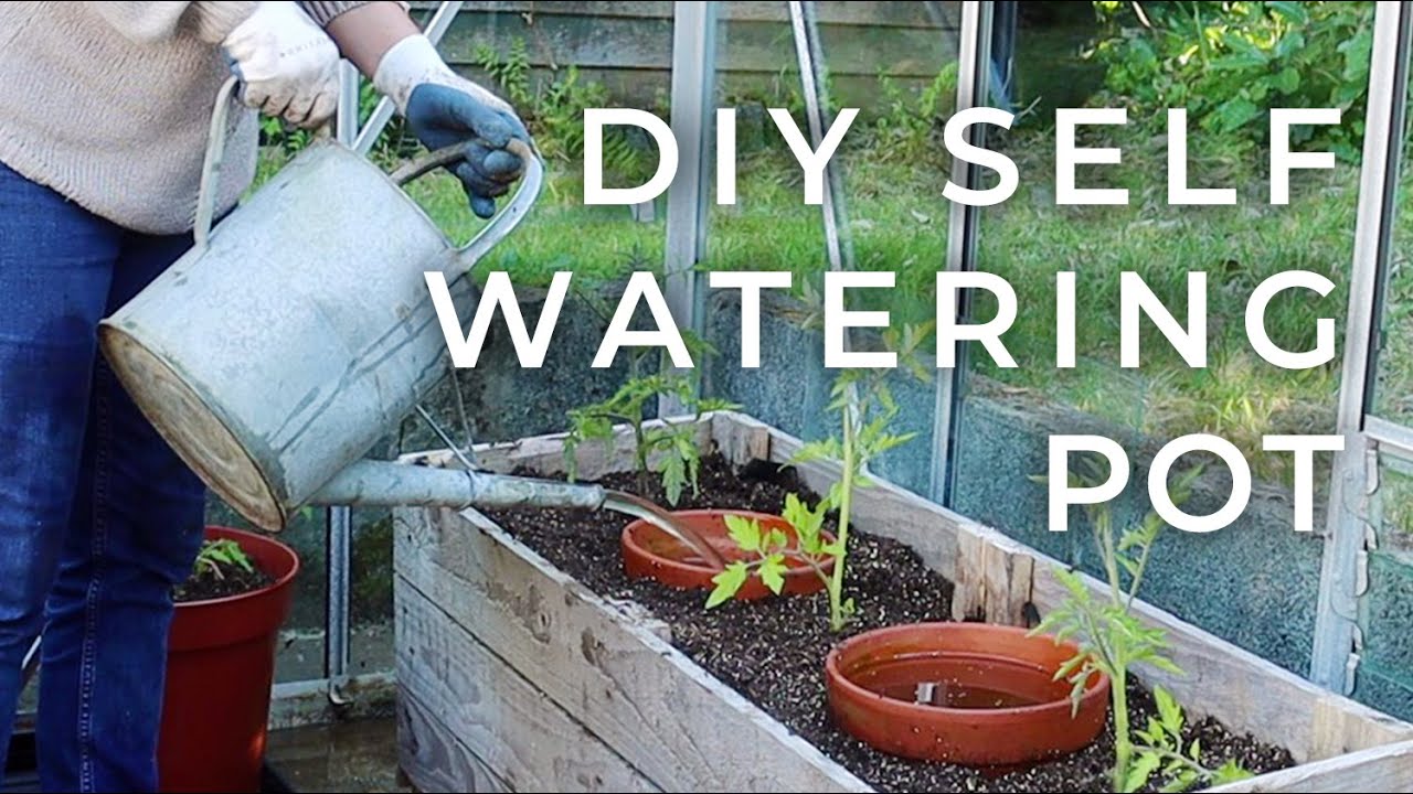 DIY Self-Watering Pot for the Garden (Olla Update)