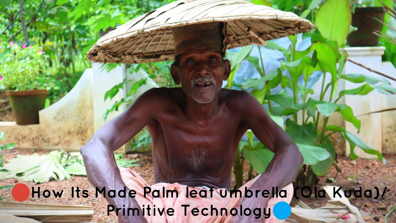 How Its Made Palm leaf umbrella (Ola Kuda)/Primitive Technology