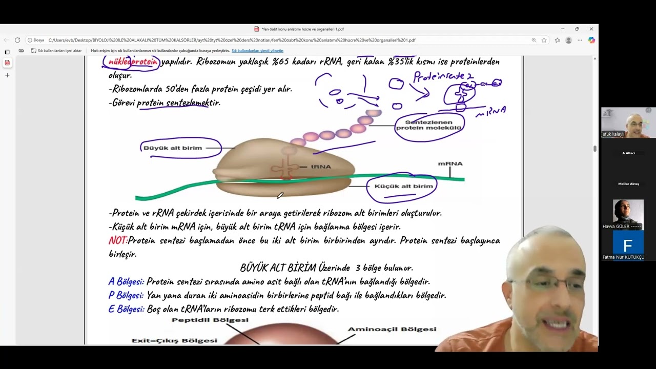 FEN ÖABT BİYOLOJİ HÜCRE VE ORGANELLERİ 2. VİDEO
