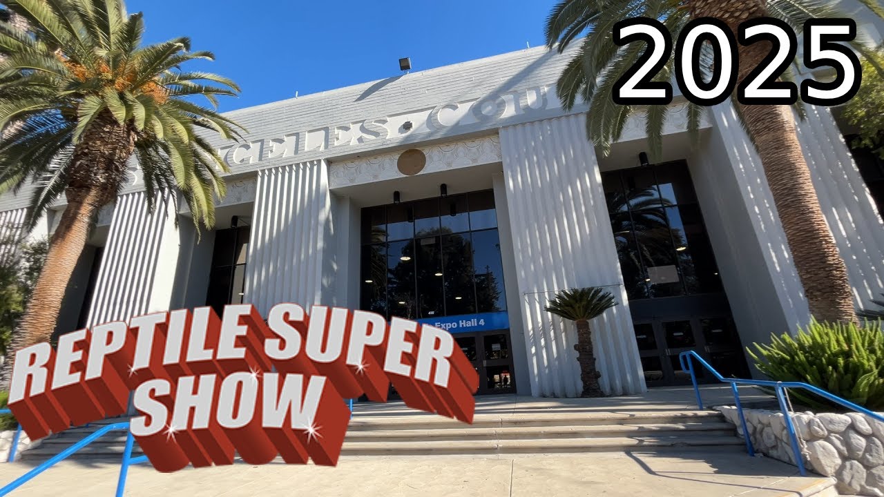 Pomona Reptile Show 2025 | Reptile Super Show