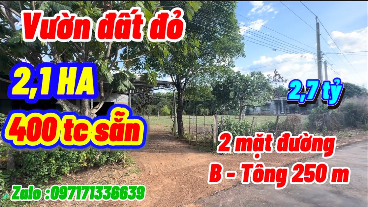 Số-1453 h đông,bán đắt tặng nhà 2mặc tiền b tông hơn 250 mét sẵn 400thổ cư bao sổ 2,1ha