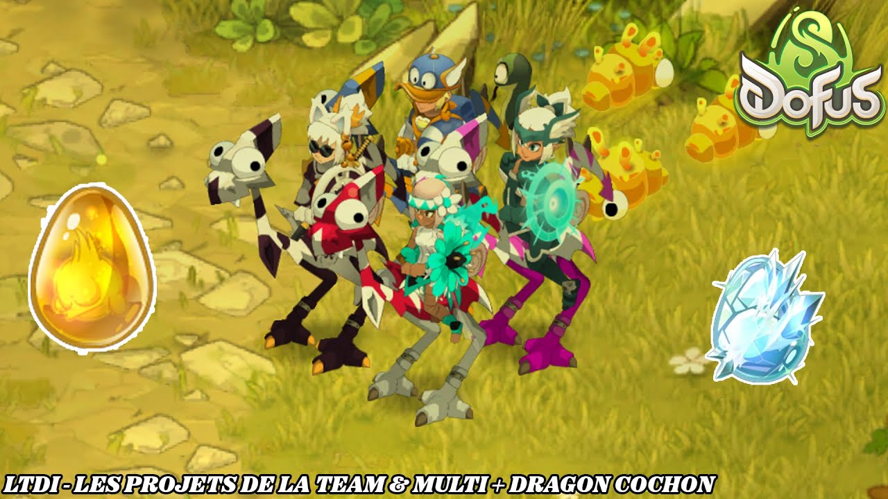 📦 LES GROS PROJETS POUR LA TEAM + DONJON DRAGON COCHON 🐷🔥 | DOFUS 3