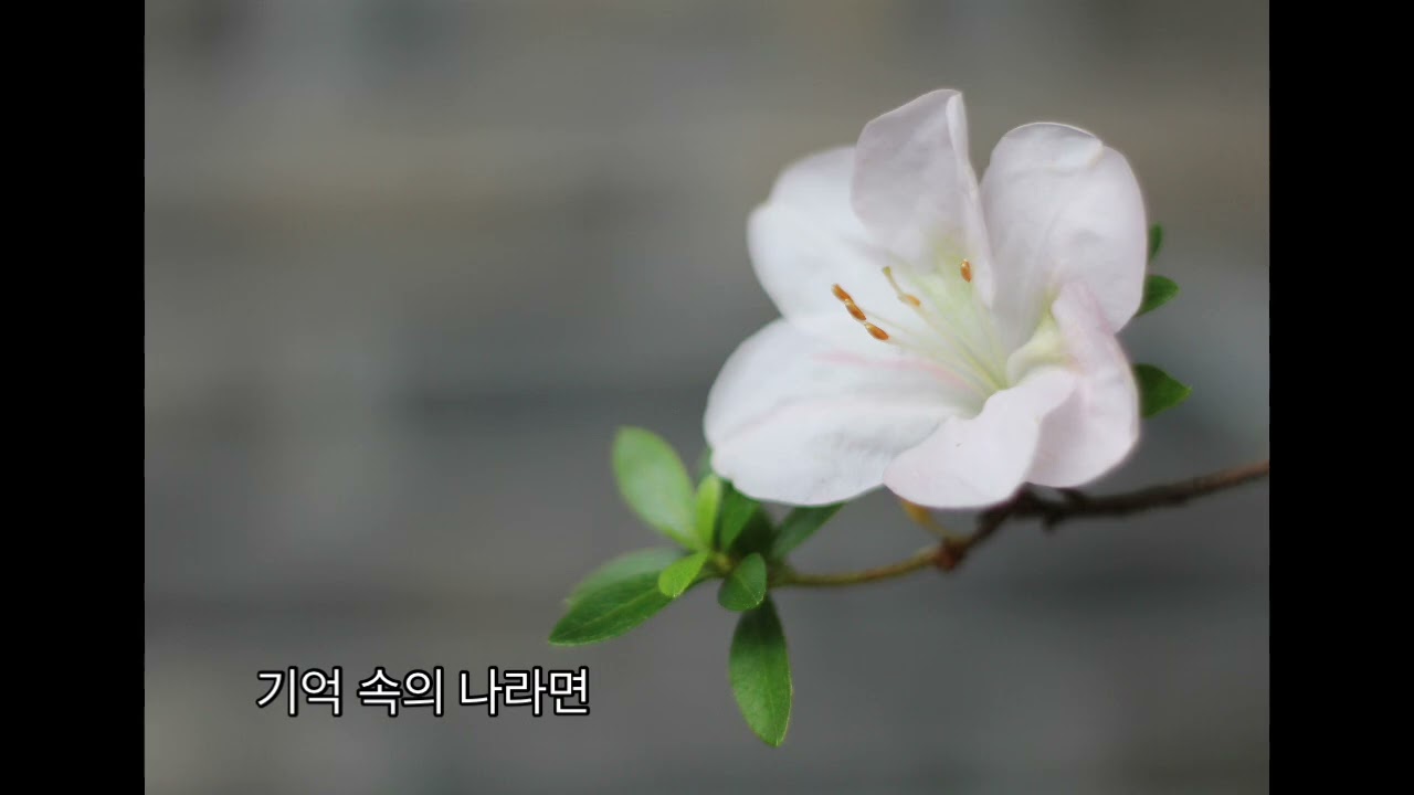 연 ㅡ 김동현 시 이원주 곡          Baritone 남철우 ㆍPiano 서원 