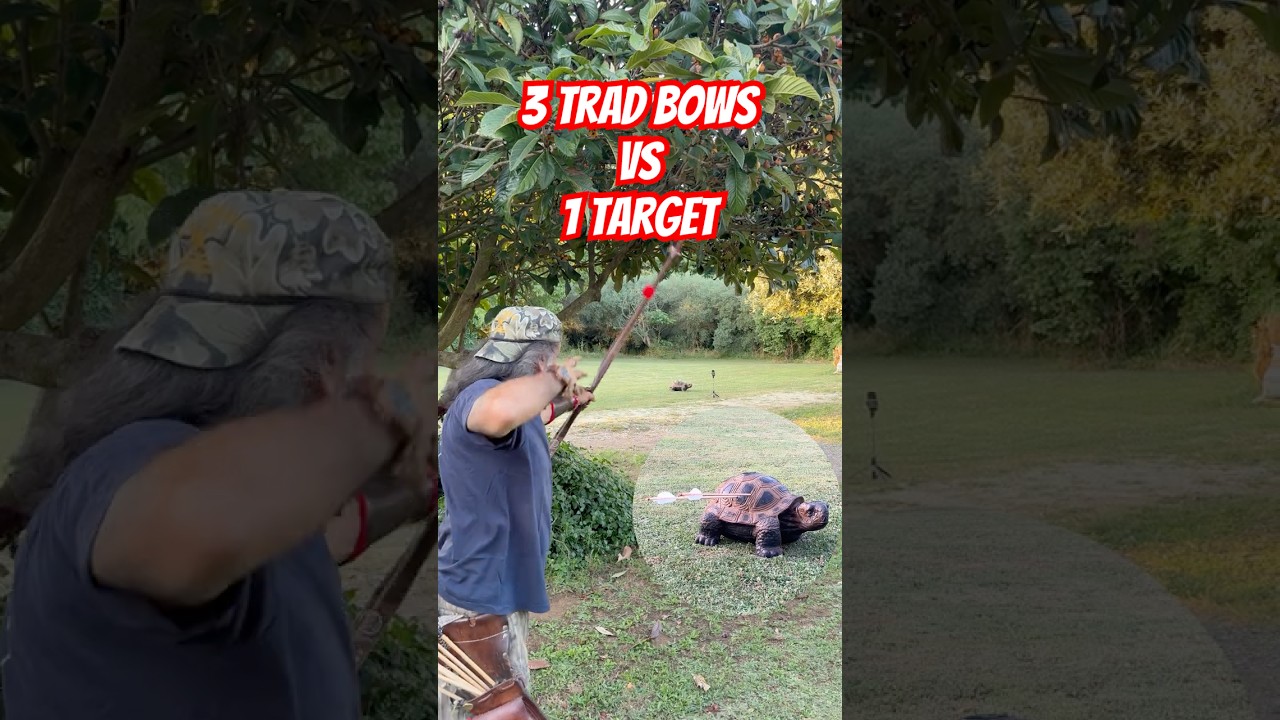 Switching Bows: Can I Still Hit?