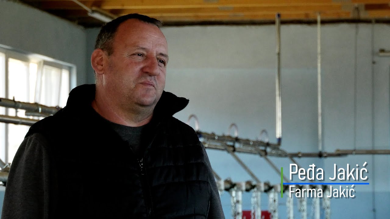 Seljak TV: Farma krava Jakić, Peđa Jakić (4K)