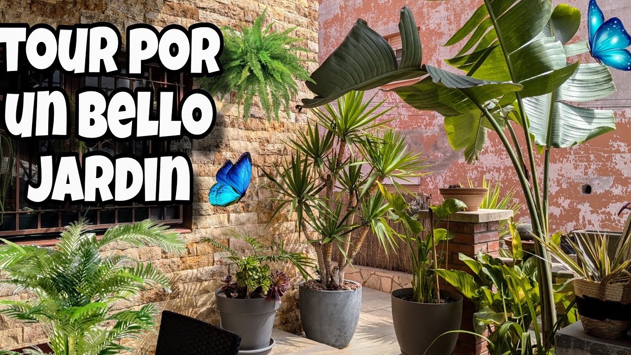 🪴TOUR por el JARDÍN de Montse con plantas de colección