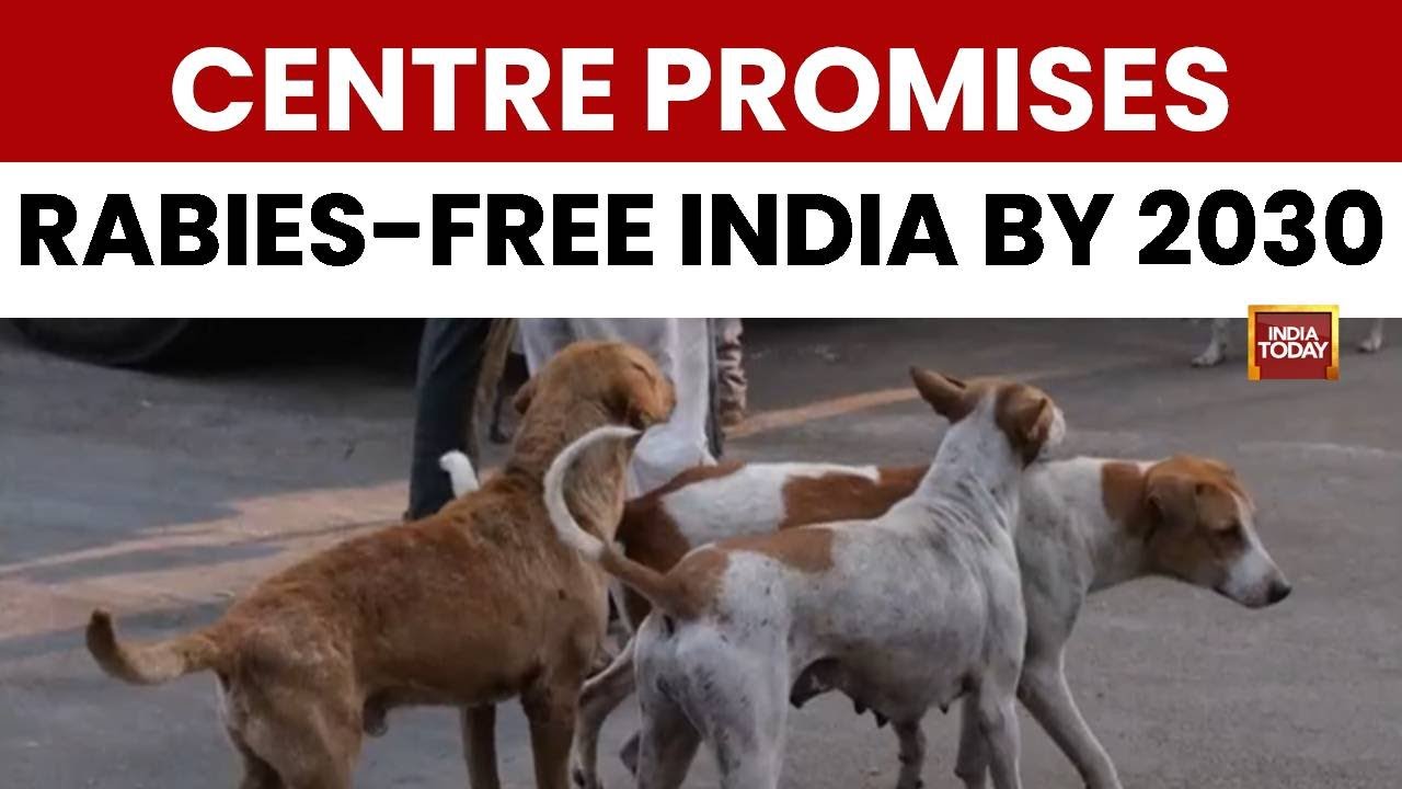 Breaking News: Centre Promises Supreme Court To Eliminate Rabies From Dog Bites By 2030