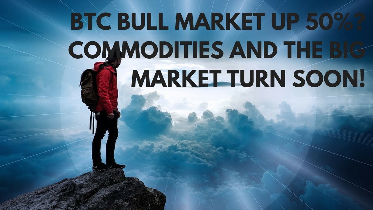 Crypto Commodities Cash and Where the 50%+ BTC Bull Market is