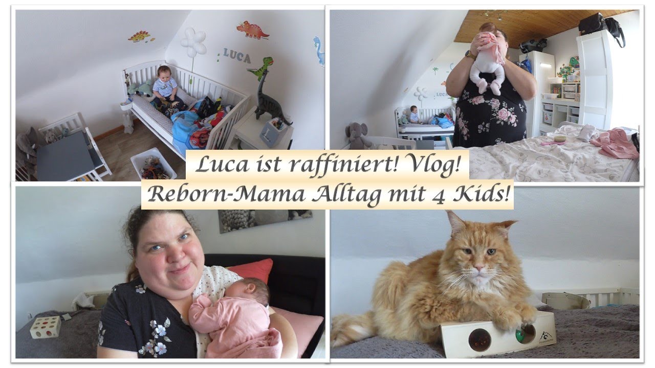 Luca ist raffiniert! |Reborn-Mama Alltag mit 4 Kids! || Reborn Baby Deutsch || Little Reborn Nursery