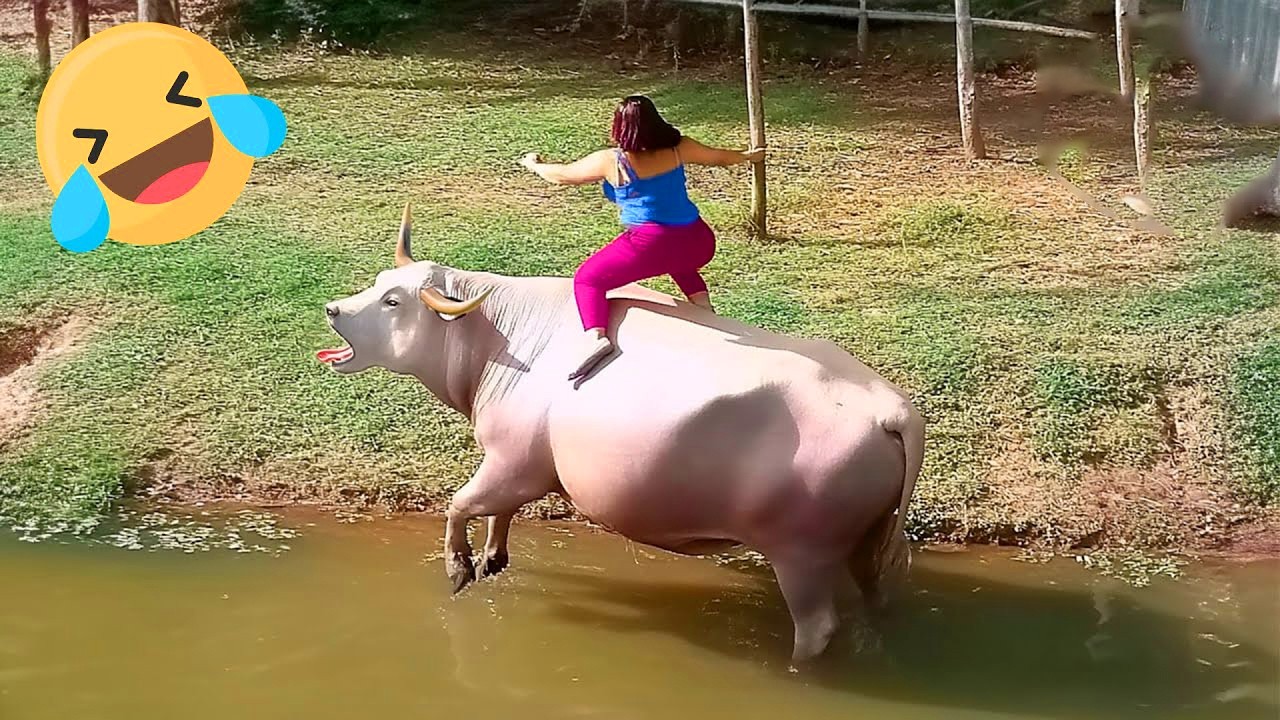 Instant Regret Fails Compilation 2026 | Funny & Hilarious People Life 😆 Best Fail Of The Week #106