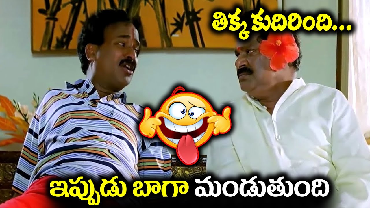 తిక్క కుదిరింది.. Dharmavarapu Subramanyam Comedy Scenes | Telugu Latest Evergreen Comedy Scenes