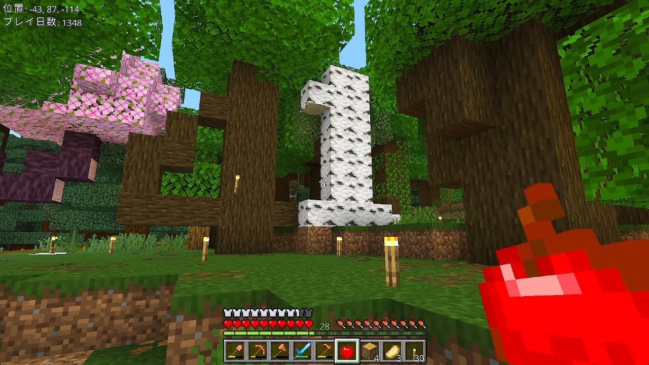 Minecraft [0,0] 41