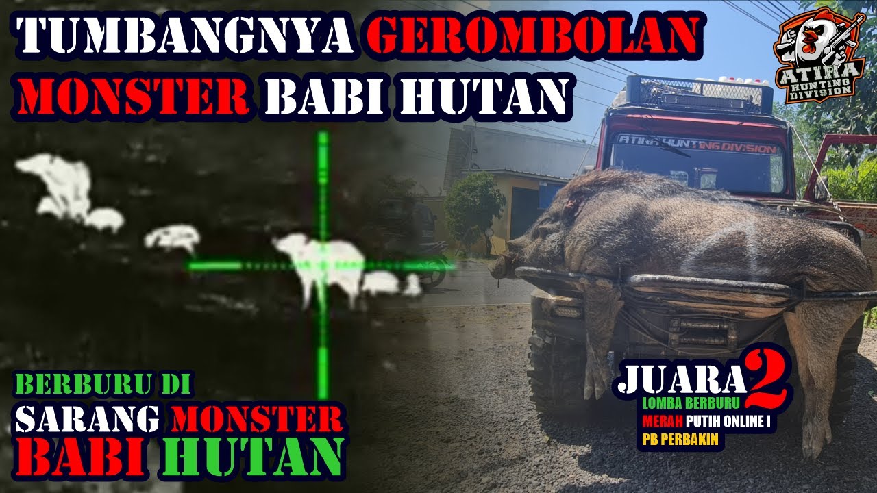 HARI KE 2 LOMBA BERBURU MERAH PUTIH ONLINE 1 | EPISOD II