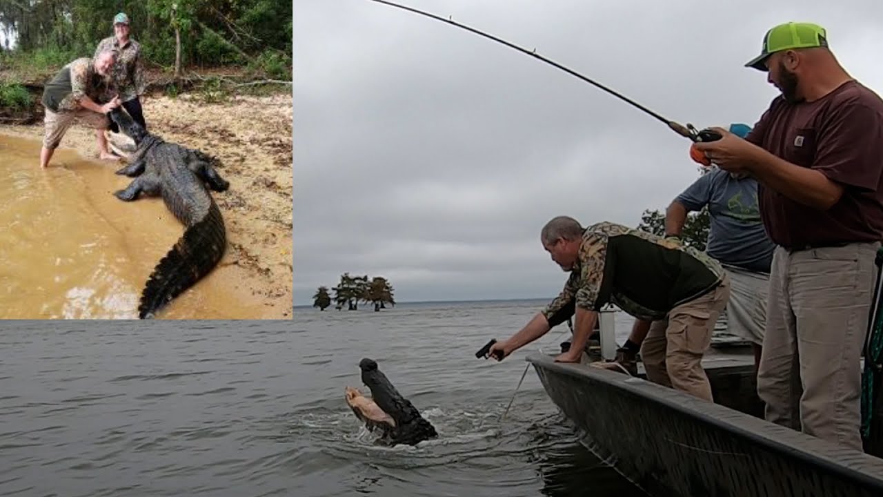 Охота на аллигаторов в Южной Каролине, Санти, 2021 г.
