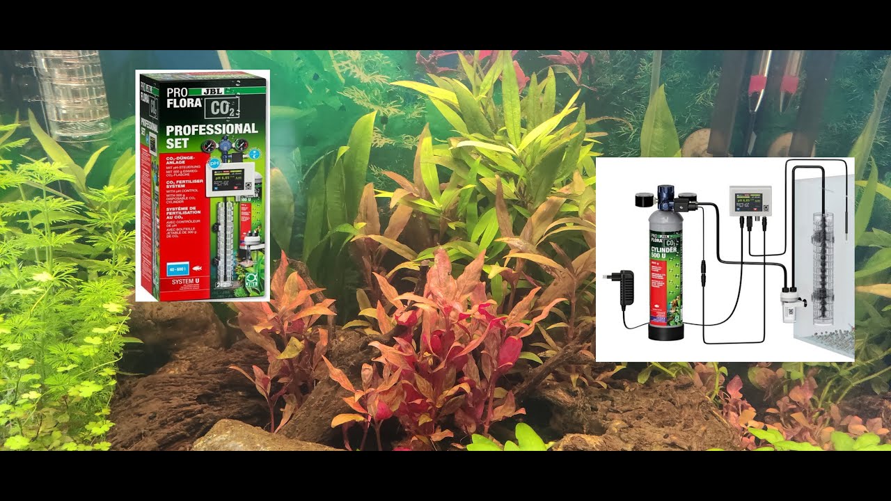 Présentations du pack JBL CO2 ProFlora CO2 Professional Set U avec Contrôleur automatique du CO2