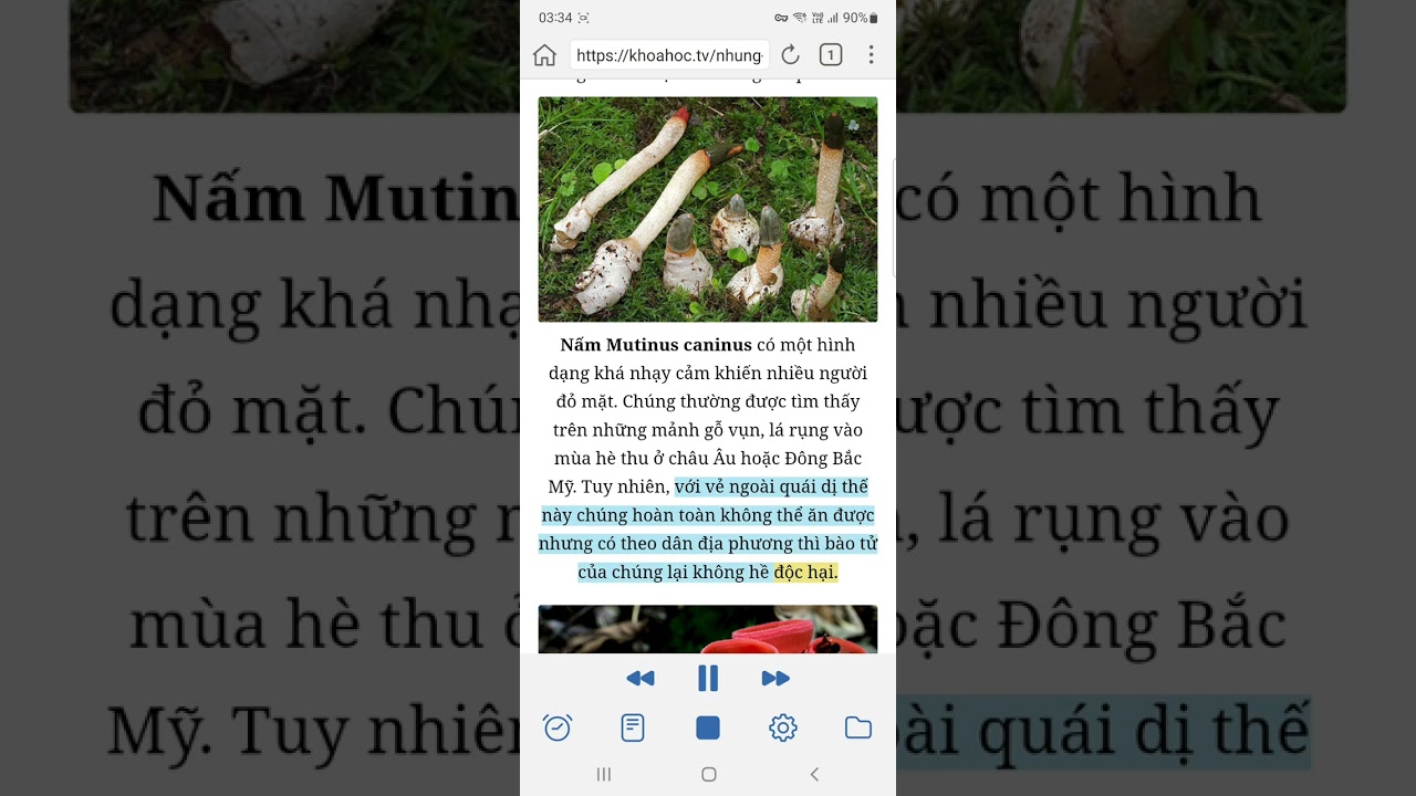 Những loài nấm kỳ lạ nhất thế giới