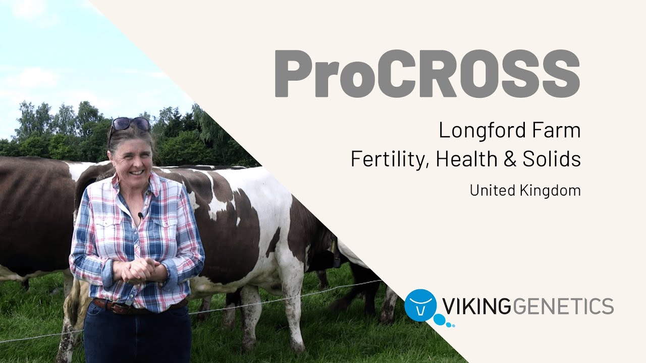 Longford Farm  - ProCROSS