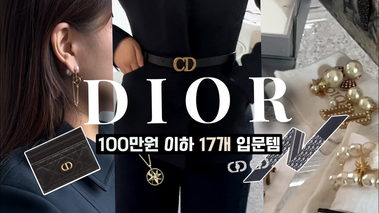 (ENG) 디올 악세서리 추천 🧳 100만원대 이하 악세서리 & 입문템️ ☑  귀걸이만 10개… CD벨트, 미차, 로즈드방, 트라이벌, 카드지갑✨ [레오누나 EP.2]