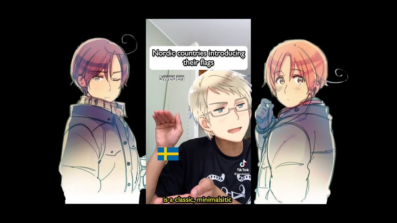 The APH Nordics designing their flags (Sweden, Finland, Norway, Iceland & Denmark) | acrack_ontitan