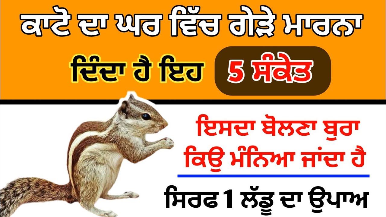 ਕਾਟੋ ਦਾ ਘਰ ਗੇੜੇ ਮਾਰਨਾ ਕੀ ਸੰਕੇਤ ਕਰਦਾ ਹੈ ਸਿਰਫ 1ਲੱਡੂ ਦਾ ਉਪਾਅ ਇਸਦਾ ਬੋਲਣਾ ਬੁਰਾ ਕਿਉ#gurmatvichaar #gurbani