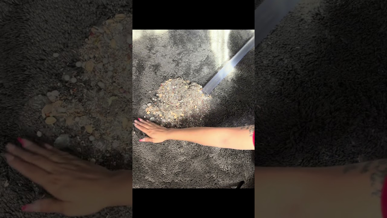 Crunchalicious… clear hose… micd