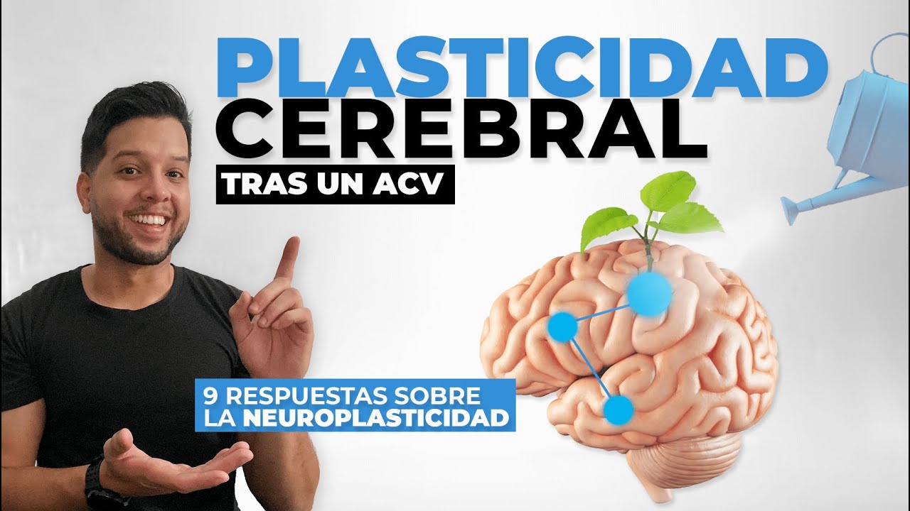 PLASTICIDAD cerebral tras un ACV: 9 respuestas sobre la neuroplasticidad