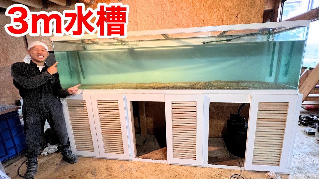 昆虫館に３ｍの特大ガラス水槽を設置しました！