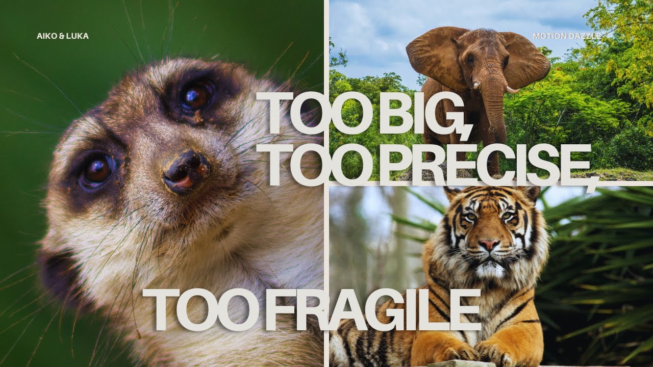 Too big, too precise, too fragile