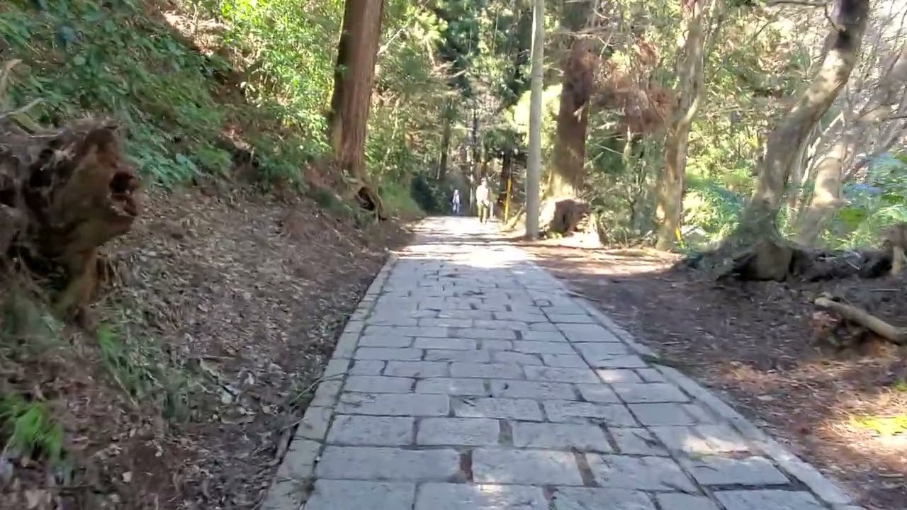 Japan Takao mountain walk