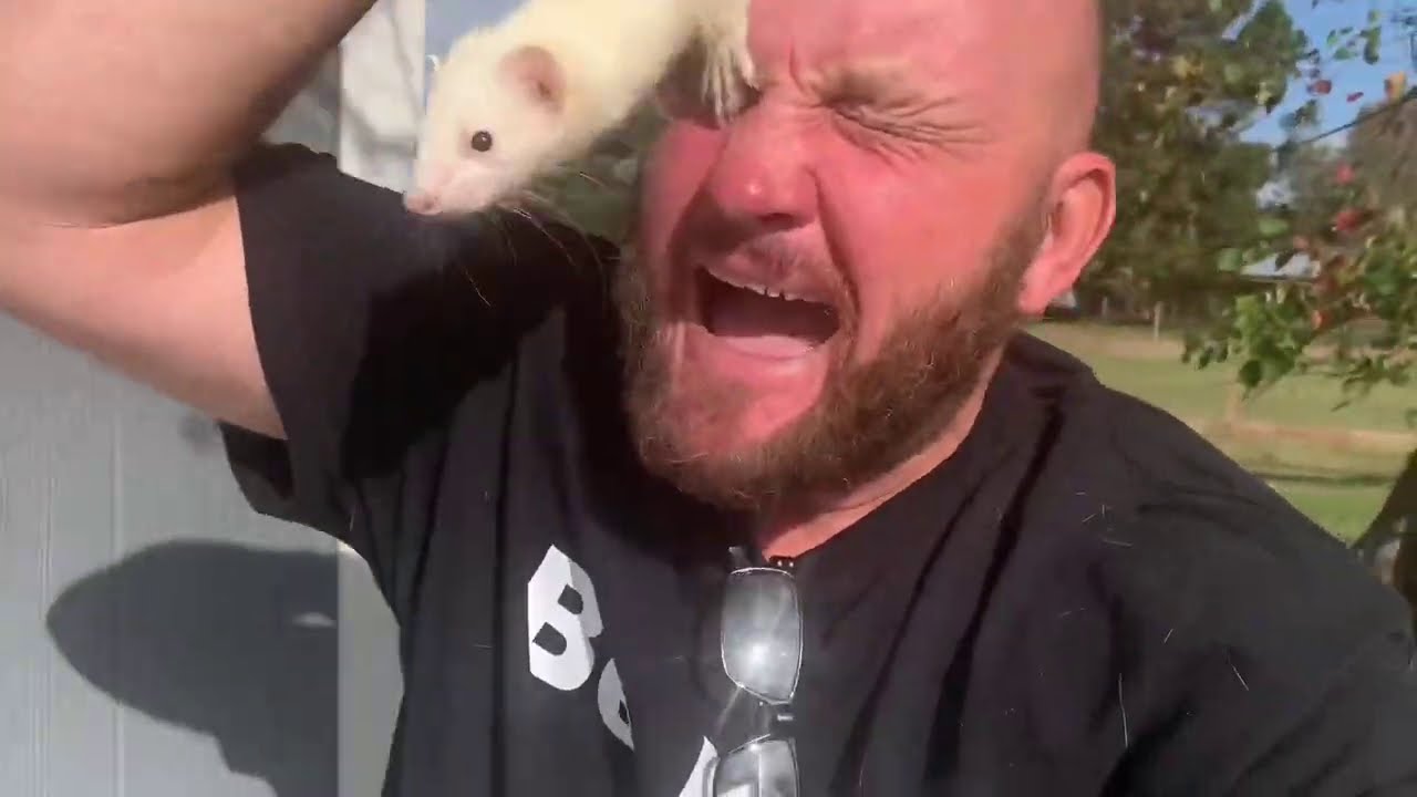 Fall Farm Funnies Compilation