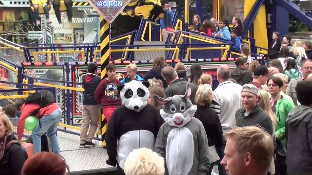 Domweih 2015 Die Verrückten Kuscheltiere Tour 1 (Verden/Aller)
