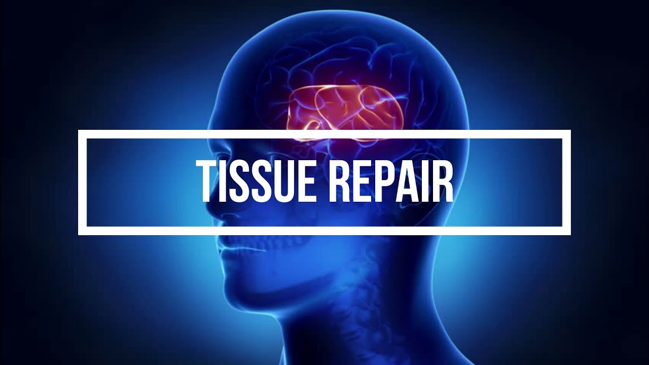 Tissue Repair
