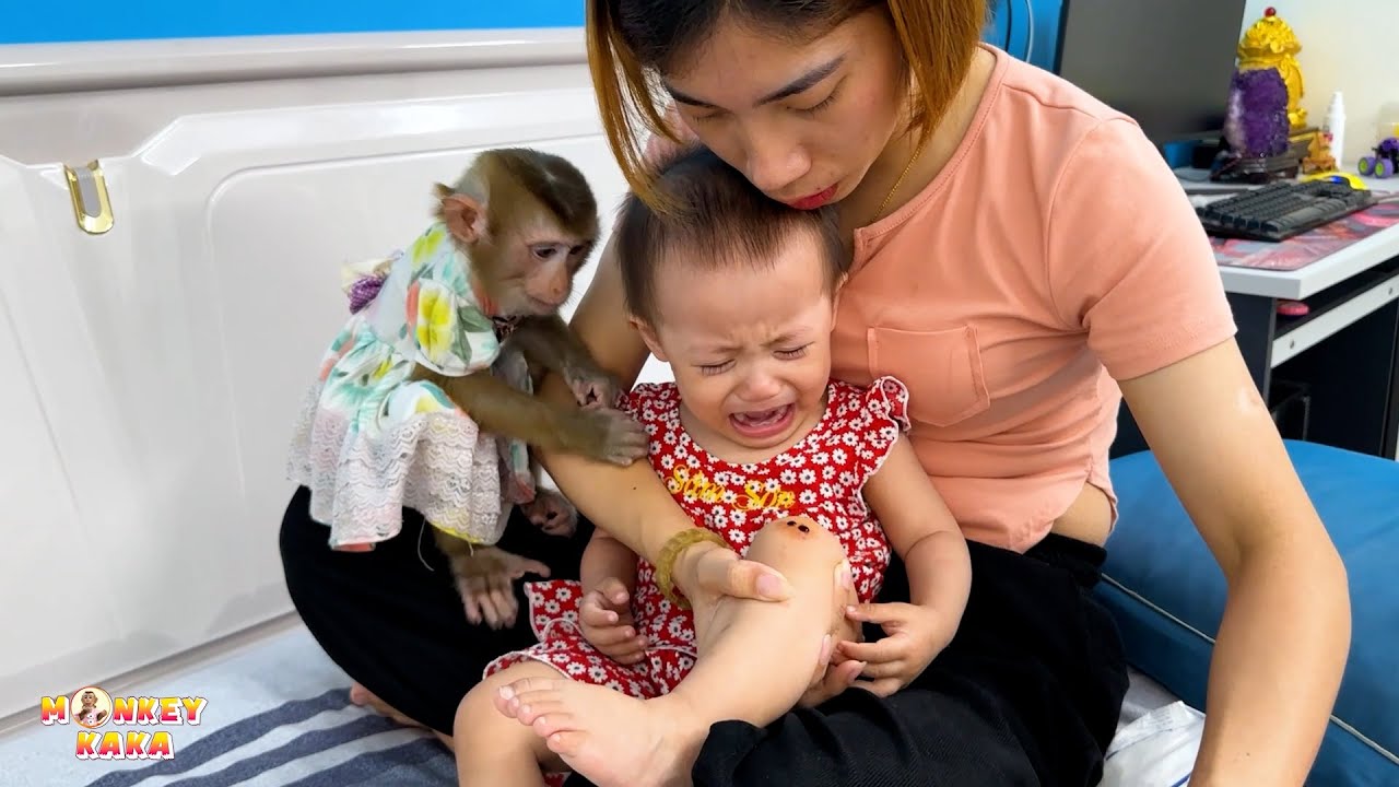 Monkey Kaka was worried when saw baby Diem crying because of injury