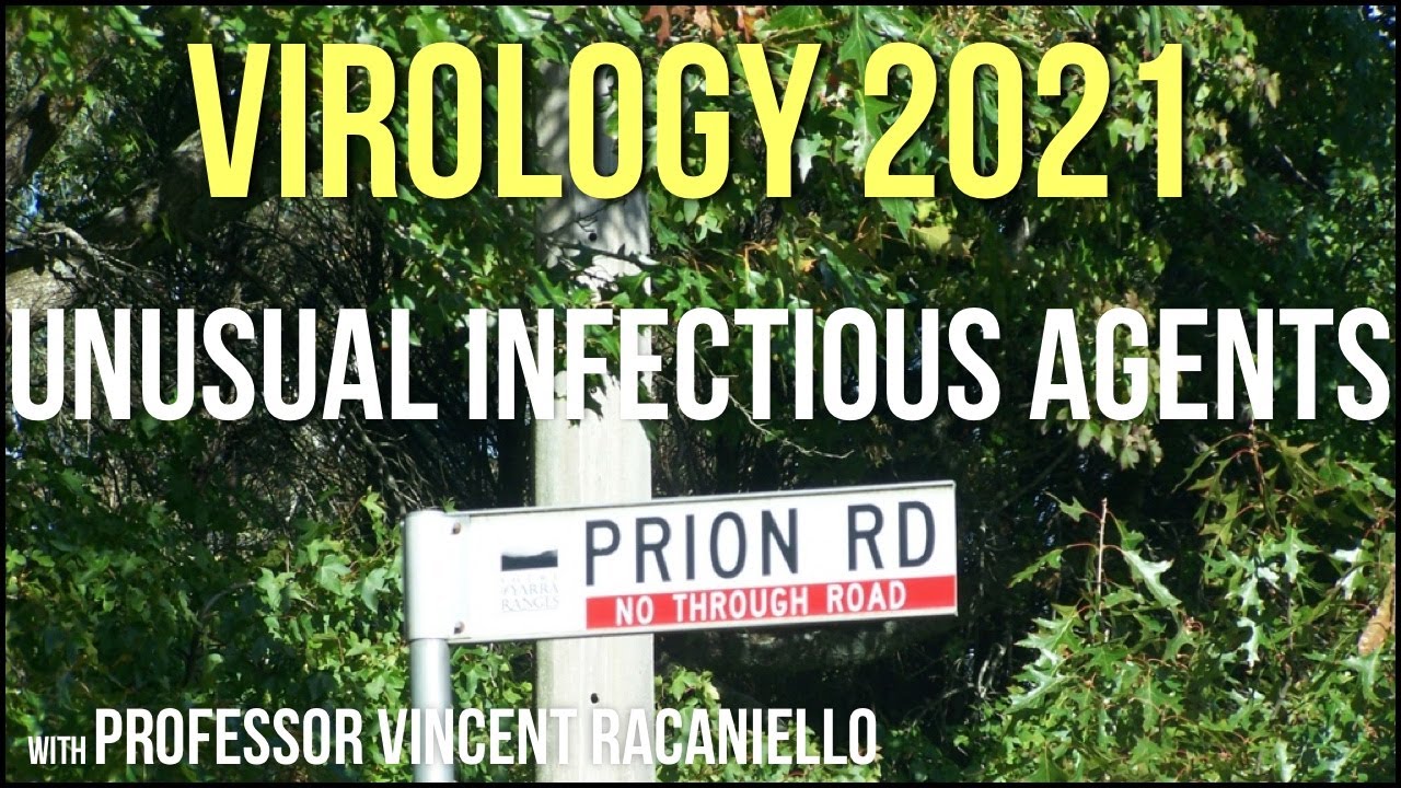 Virology Lectures 2021 #24 - Unusual Infectious Agents