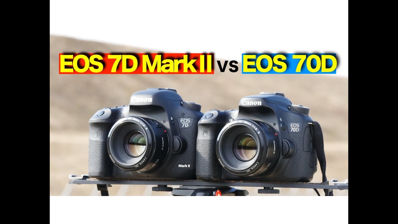 【EOS 7D MarkⅡ VS 70D】写真比較テスト