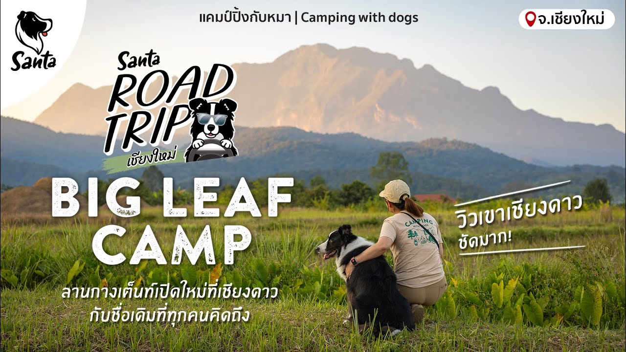 Big Leaf Camp เชียงดาว ลานเปิดใหม่กับชื่อเดิมที่ทุกคนคิดถึง | Santa Road Trip เชียงใหม่ [Ep.02]