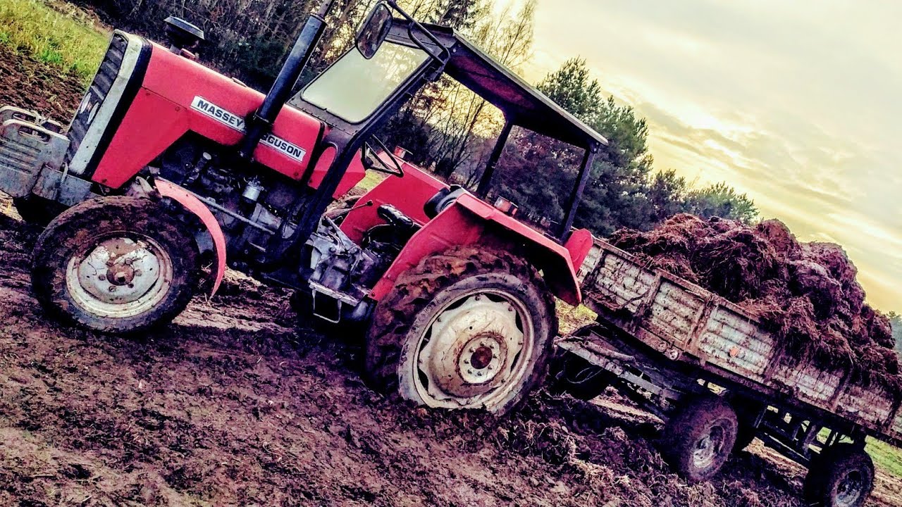 ☆ Wtopa ☆ Massey Ferguson 255 ☆ Przy wywożeniu Obornika ☆