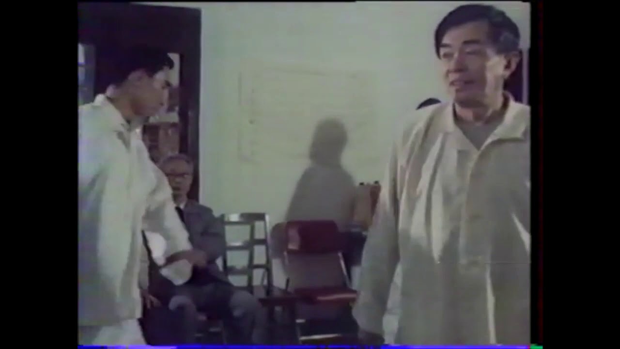 Gu meisheng démontre son Taijiquan