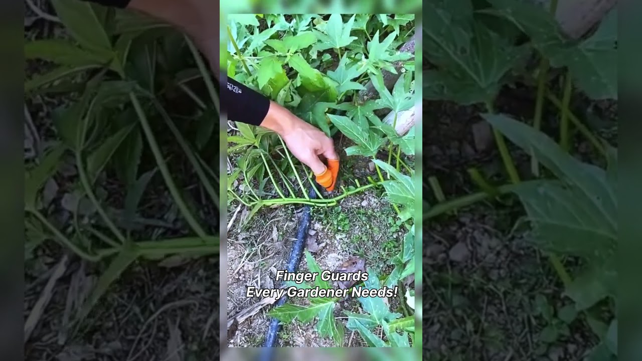 Finger Guards Every Gardener Needs!