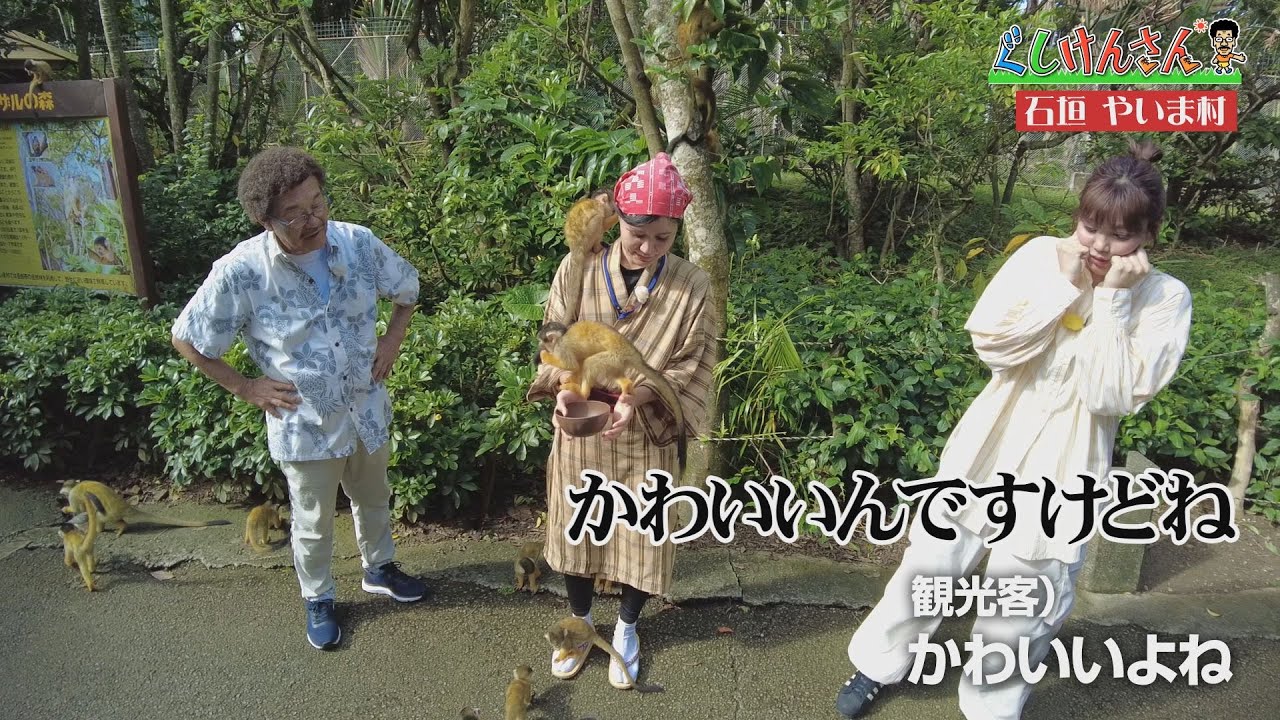 ぐしけんさんのルーツ・石垣島の旅！石垣島の旅！石垣やいま村で伝統文化と癒しの空間を満喫！＃111