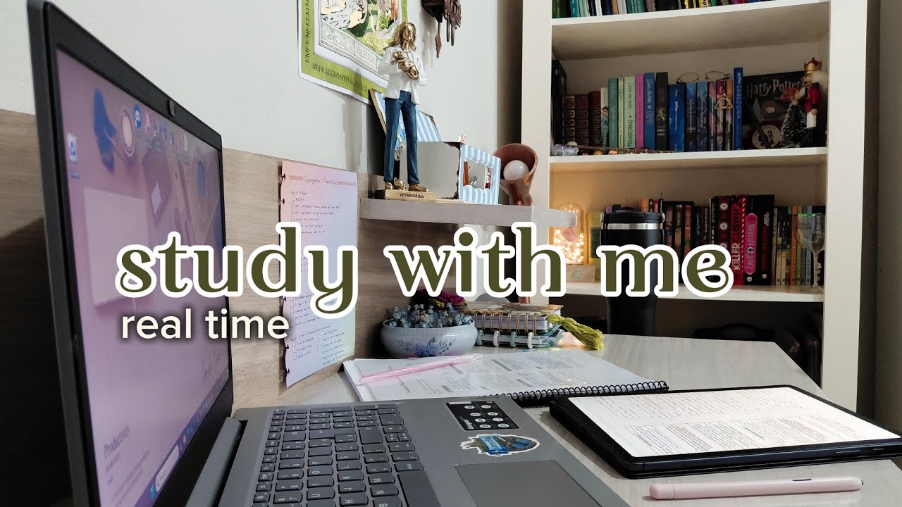 STUDY WITH ME | ESTUDE COMIGO | 1 hour (with fireplace sounds | com som de lareira) 
