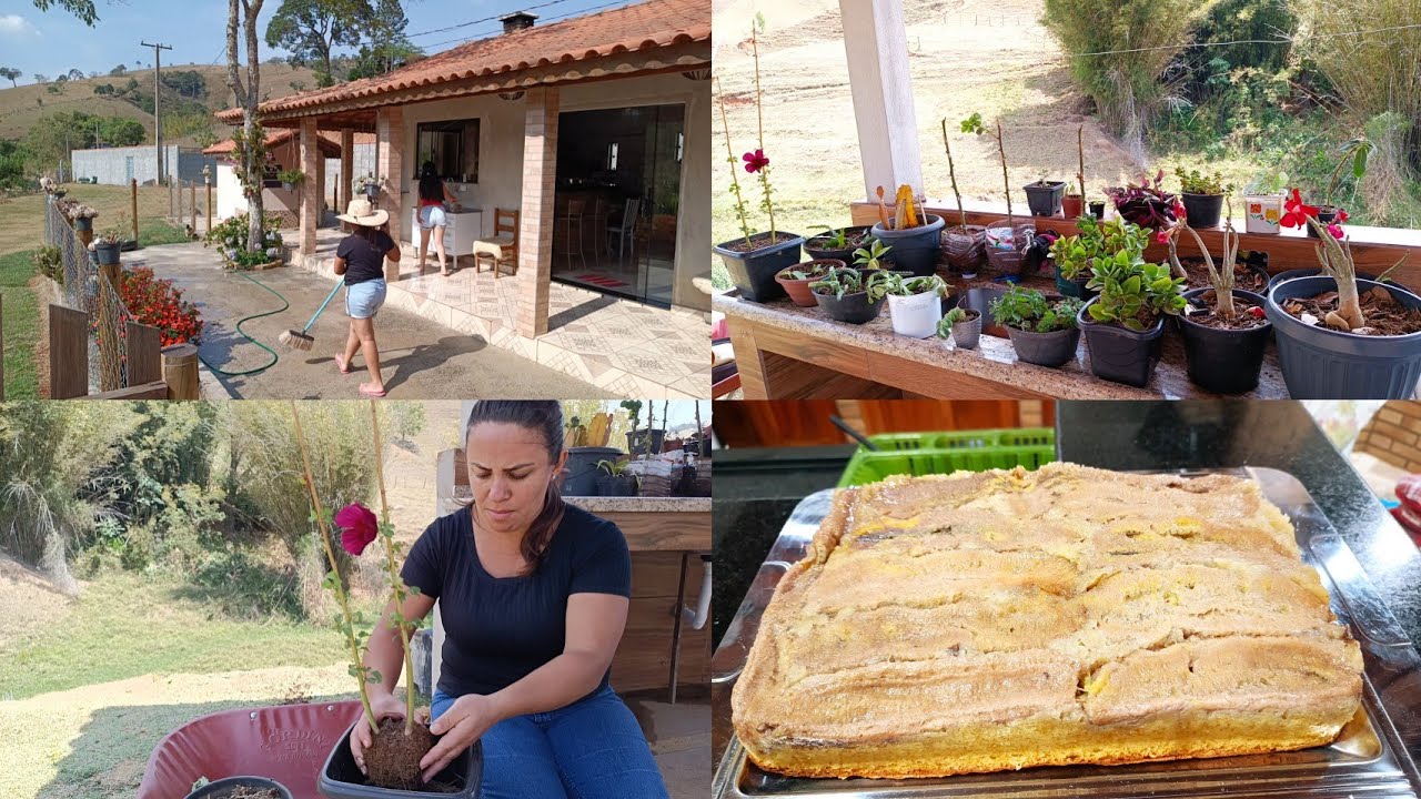 ENFIM REPLANTEI AS FLORES😍FAMÍLIA NA LIMPEZA DA CASA👏🏼BOLO COM DOCE DE BANANA DIRETO NO FORNO😋