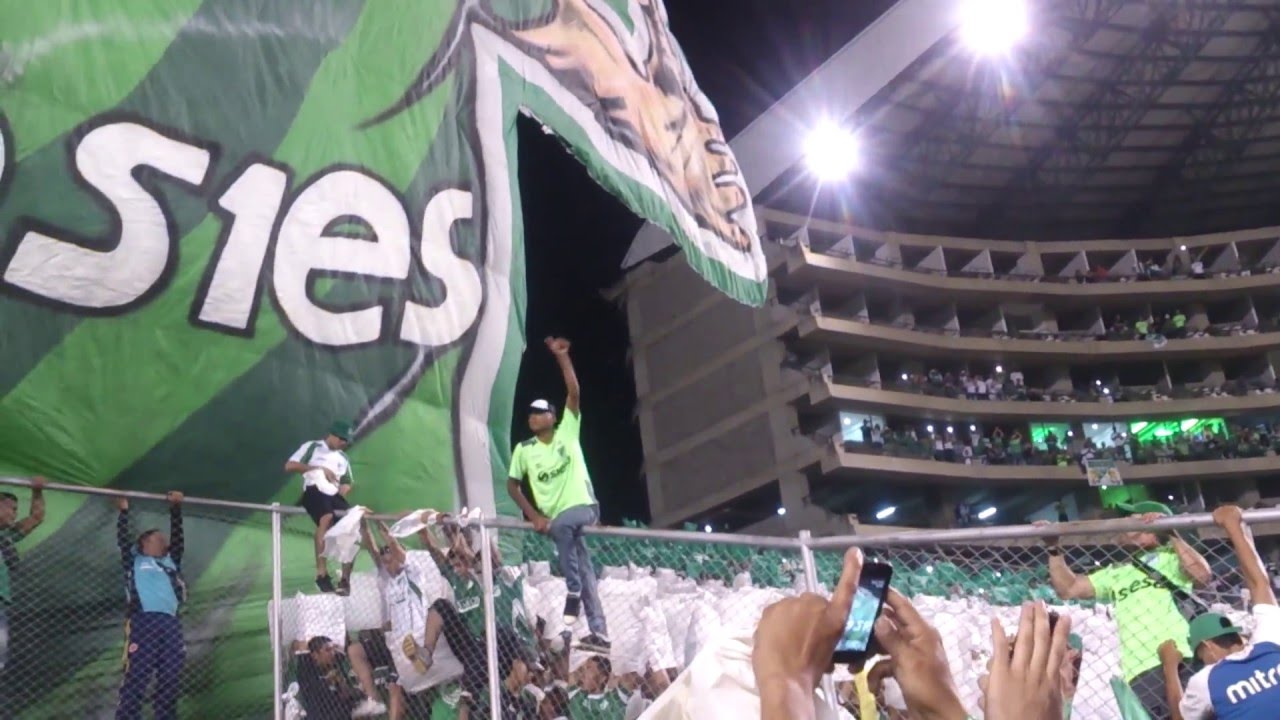 TIFO 3D Andrés Pérez | Frente Radical Verdiblanco | Deportivo Cali vs Boca Jrs