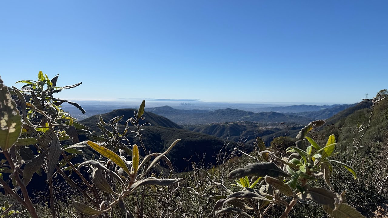Altadena MTB, El Prieto, Brown, Fern Truck Trail! 12-10-25