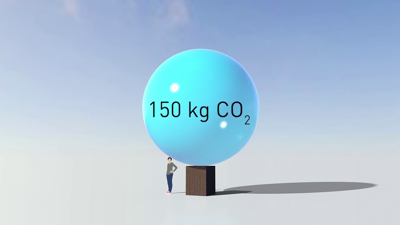 Visualisation of carbon sequestration in temperate peatlands