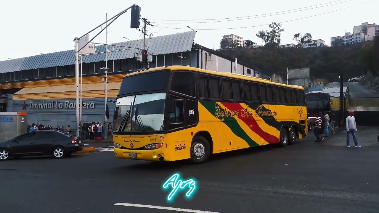 La Busologia sigue activa 💯🇻🇪