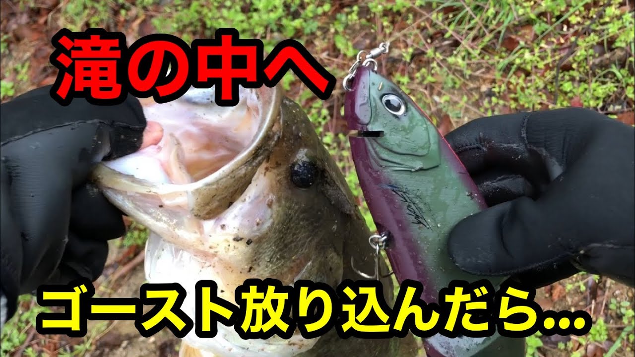 クラッシュゴーストを滝の中に放り込んだら…【ビッグベイト縛り】バス釣り